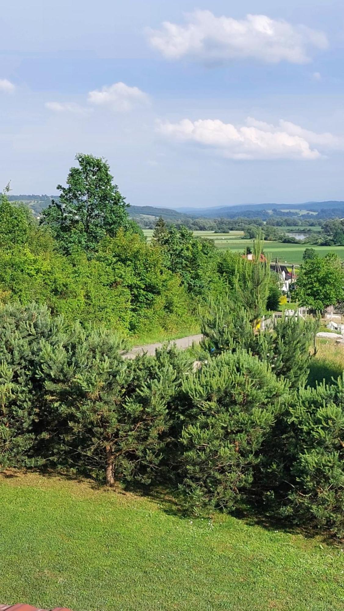 Villa Dom Nad Dolina Sanu Ruszelczyce Exterior foto