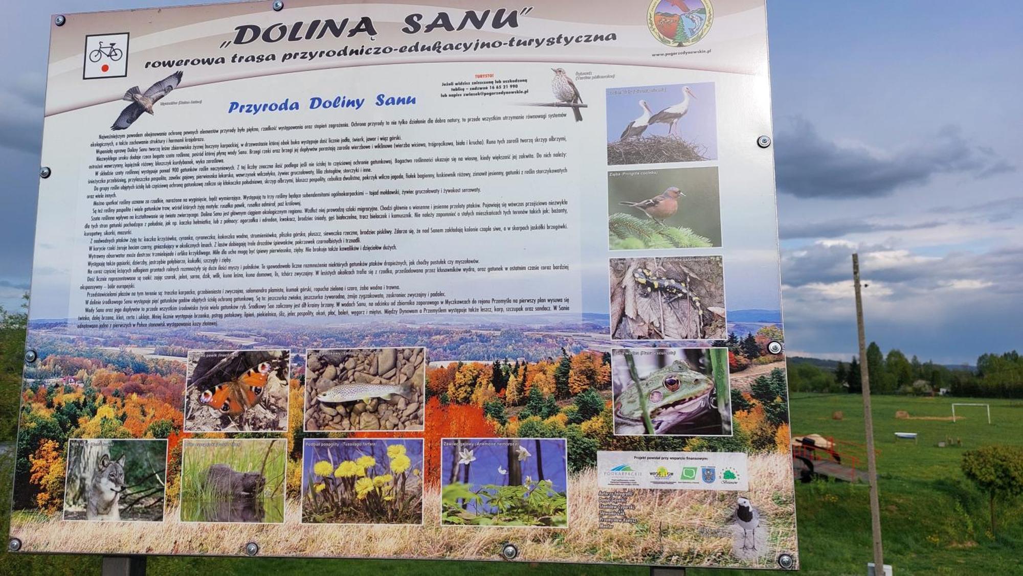 Villa Dom Nad Dolina Sanu Ruszelczyce Exterior foto